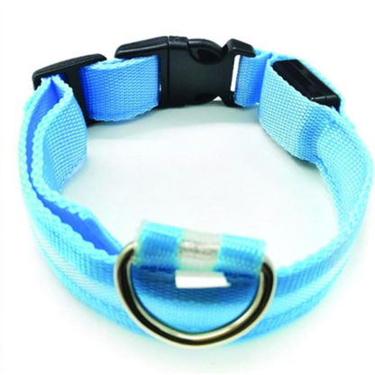PARENCE - Collier Lumineux pour Chien Taille M,Collier LED avec Boucle d'attache et Fermeture à Clipser