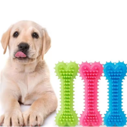 Jouet à Mâcher en Caoutchouc Souple, Résistant aux Morsures - Meulage des Dents - Jouet d'Entraînement pour Petits Chiens