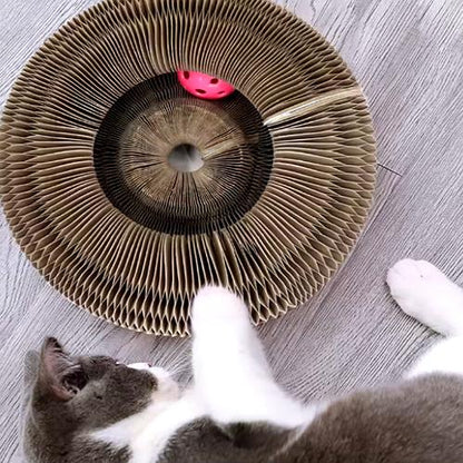 Griffoir pour Chat, Jouet Interactif avec Balle, Pliable et Modulable